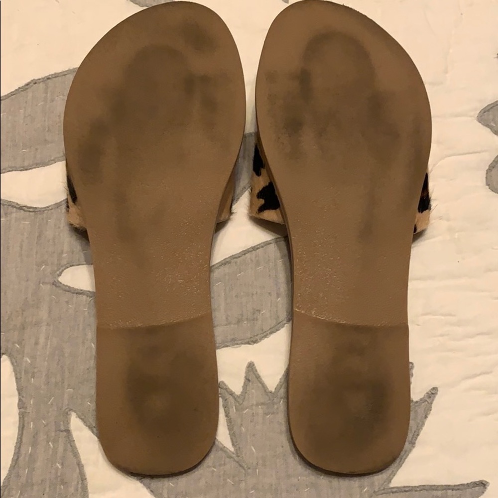 Coconuts Leopard Slides - Picture 2 of 2